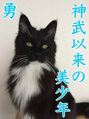 2020選挙15
