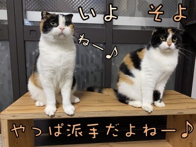 みんな1713