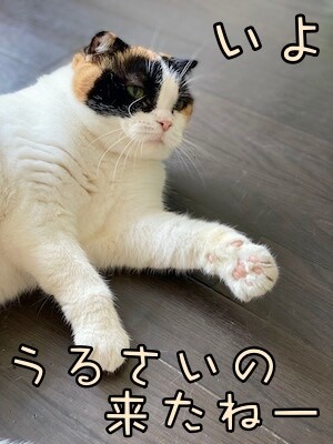 いよ582