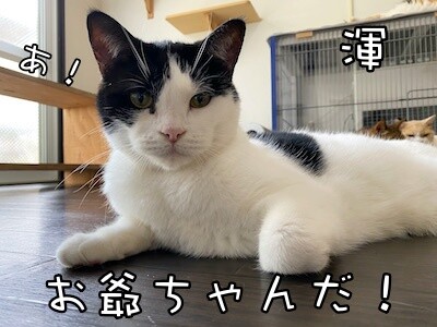 渾318