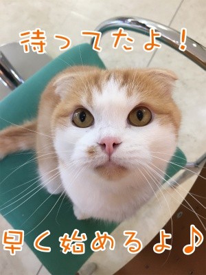 珠88