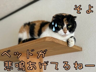 そよ305
