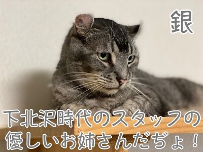 銀476