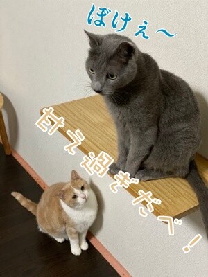 みんな2049