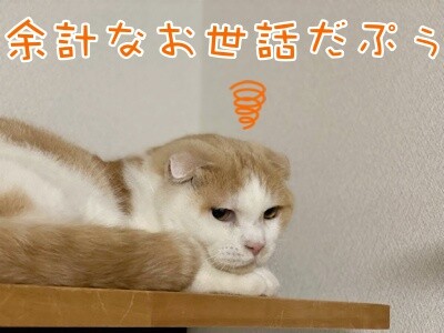 竜32