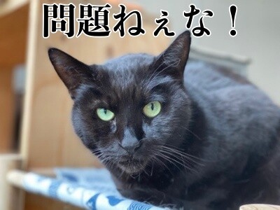 怜69