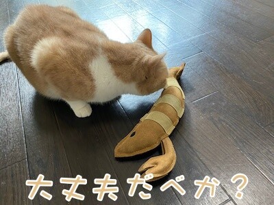 楓10
