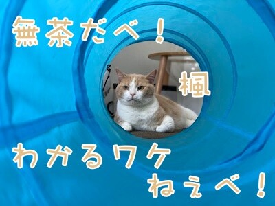 楓87