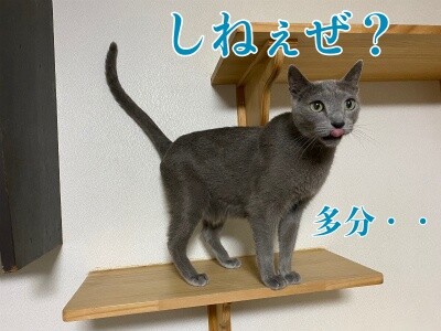 京522
