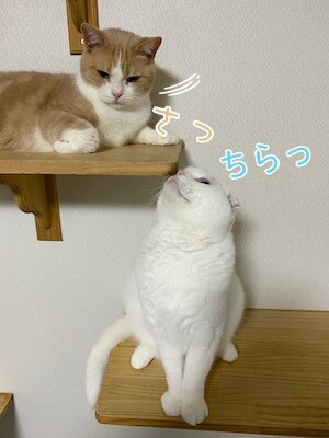 みんな24