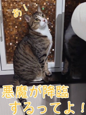 魚卵412