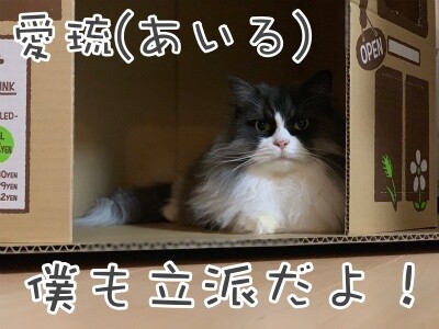 るひあ87