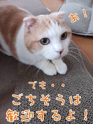 まお116