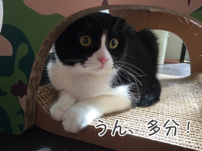 澪22