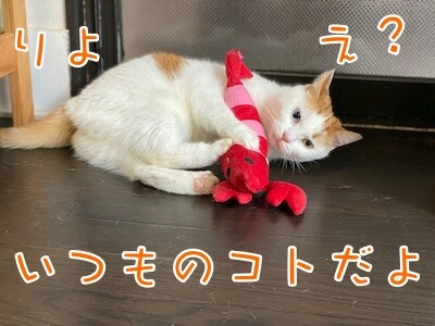 りよ335