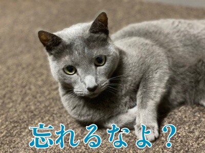 京449