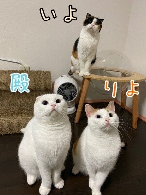 みんな2122