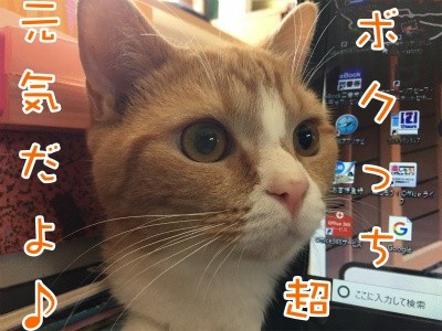 超1