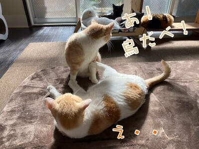みんな1119