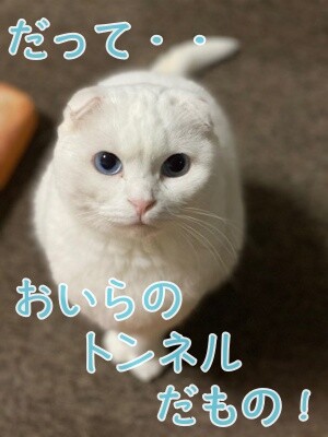 殿790
