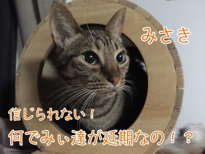 みさき15