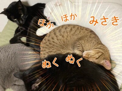 みんな2147