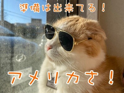 珠若47