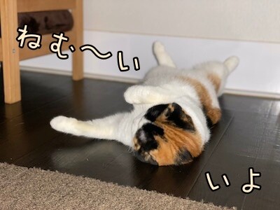 いよ91