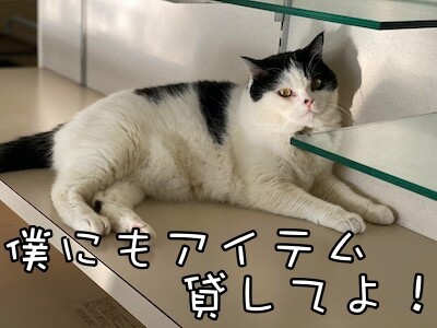 珠若51