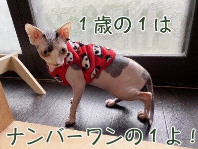 じゅり108
