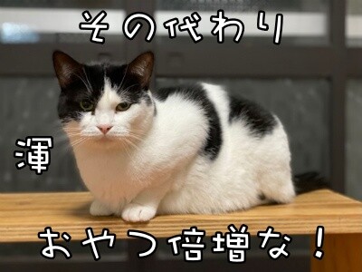渾213
