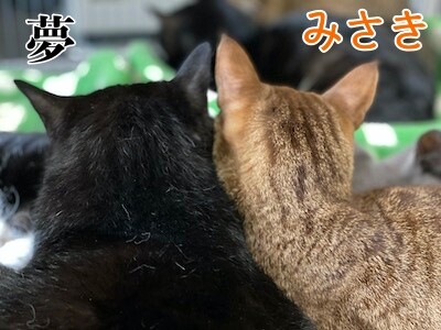 みんな12