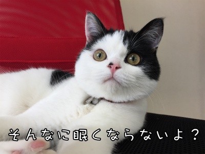 珠若90