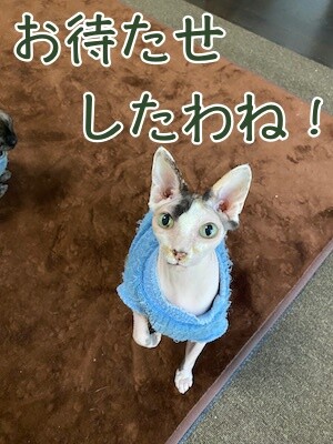 じゅり81