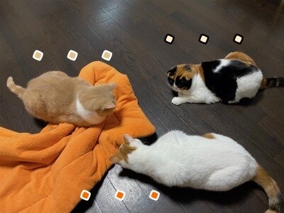 みんな2195