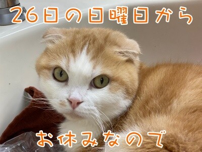 珠若778