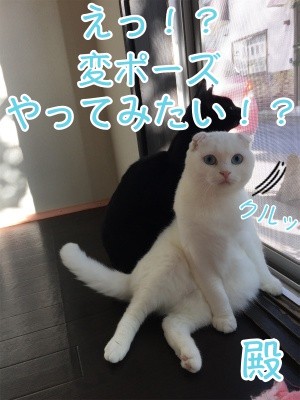 殿155