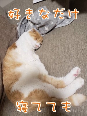 凌92