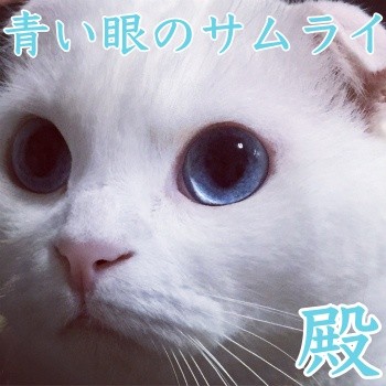 みんな1299
