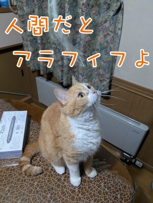 ココナッツ72