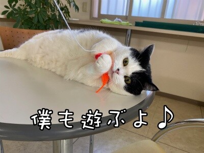 珠若858