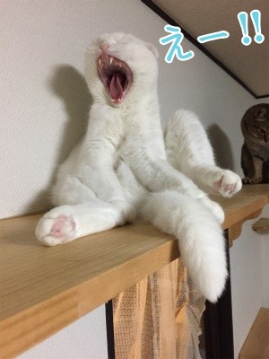 殿401