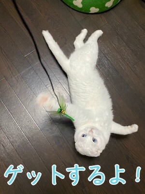 殿3