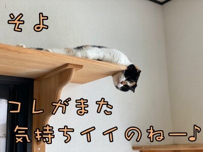 そよ36