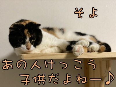 そよ227
