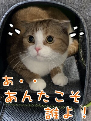 ベルビル125