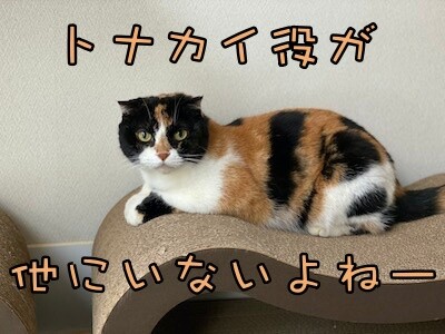 そよ8