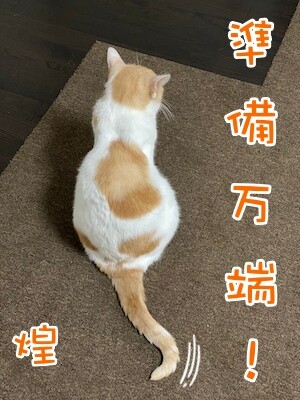 煌317