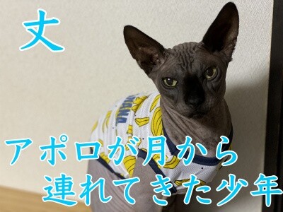 2020選挙10