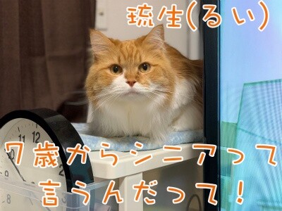 るひあ92